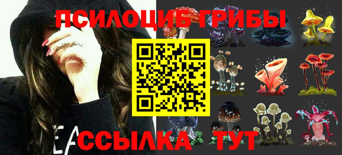 Галлюциногенные грибы Psilocybe  Вход с VPN  Котлас 